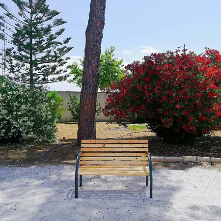 Calle Dei Saraceni Bed and Breakfast