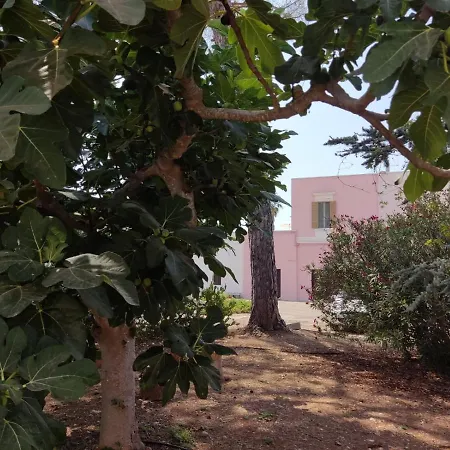 Calle Dei Saraceni Bed & Breakfast