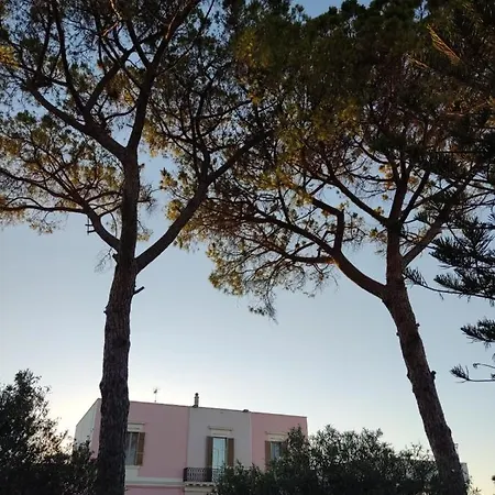 Calle Dei Saraceni Bed & Breakfast